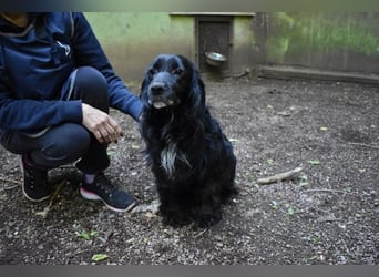Ashia - möge ihr Glücksfünkchen zu hellem Licht werden