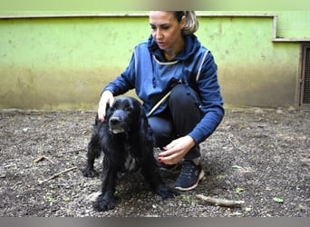 Ashia - möge ihr Glücksfünkchen zu hellem Licht werden