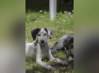 Marie - Fräulein Marie und ihr Stöckchen
