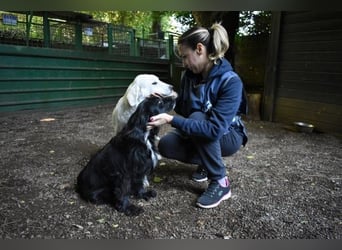 Ashia - möge ihr Glücksfünkchen zu hellem Licht werden