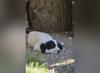 Malou - Fräulein Malou guckt erstmal