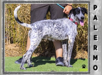 Palermo - sucht aktive Menschen