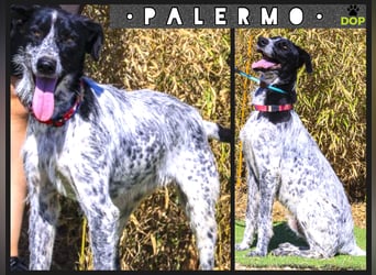 ▪️Palermo ▪️ Wo sind die aktiven Menschen ??