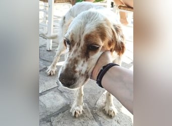 *Reserviert* Lucila - kleine Kämpferin mit großem Herz sucht ihr Glück