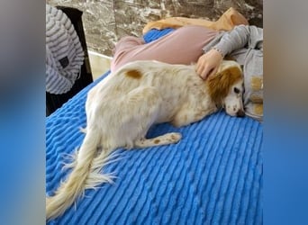 Bezaubernde Marilia sucht ihr Glück