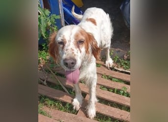 *Reserviert* Lucila - kleine Kämpferin mit großem Herz sucht ihr Glück