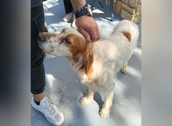 *Reserviert* Lucila - kleine Kämpferin mit großem Herz sucht ihr Glück