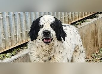 Lola - wenn du sprechen könntest ...