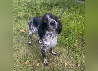 Dolly - freundlicher, lustiger Bub