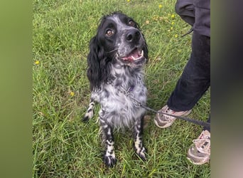 Dolly - freundlicher, lustiger Bub