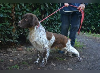 Mottle - Dein Freund fürs Leben