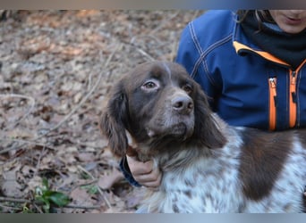 Mottle - Dein Freund fürs Leben