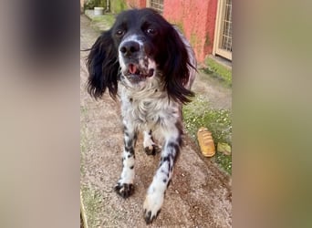 CAMELA auf Körbchensuche