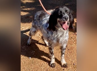 CAMELA auf Körbchensuche