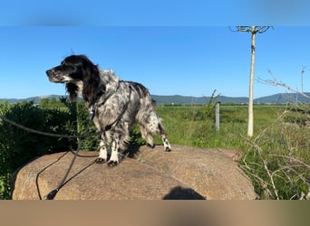 CAMELA auf Körbchensuche