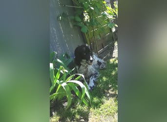 CAMELA auf Körbchensuche