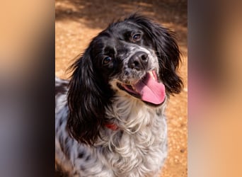 CAMELA auf Körbchensuche