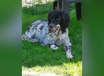 CAMELA auf Körbchensuche