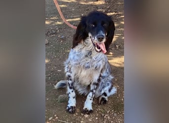 CAMELA auf Körbchensuche