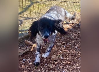 CAMELA auf Körbchensuche