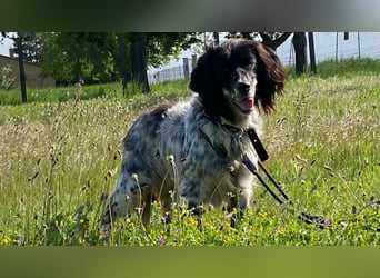 CAMELA auf Körbchensuche