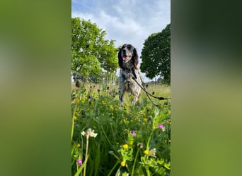 CAMELA auf Körbchensuche
