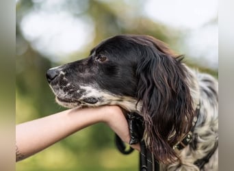 CAMELA auf Körbchensuche