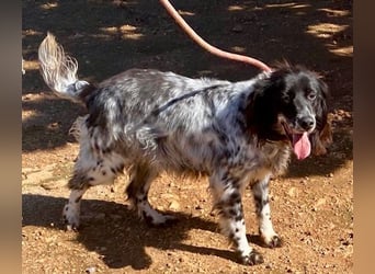 CAMELA auf Körbchensuche