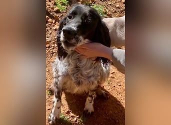 CAMELA auf Körbchensuche