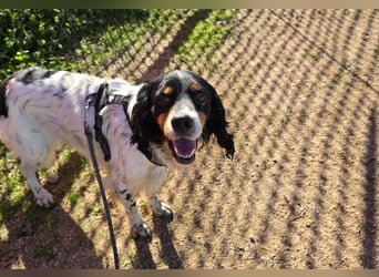 Moreno: Menschen sind ihm sehr wichtig