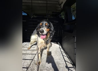 Moreno: Menschen sind ihm sehr wichtig