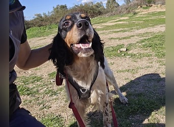 Moreno: Menschen sind ihm sehr wichtig