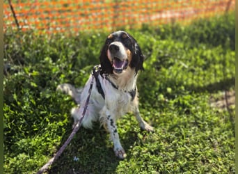 Moreno: Menschen sind ihm sehr wichtig