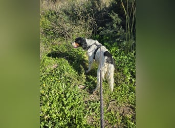 Moreno: Menschen sind ihm sehr wichtig