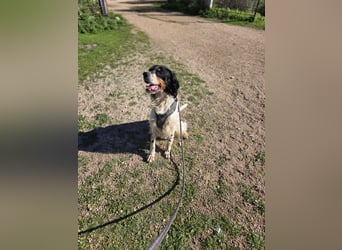 Moreno: Menschen sind ihm sehr wichtig