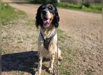 Moreno: Menschen sind ihm sehr wichtig