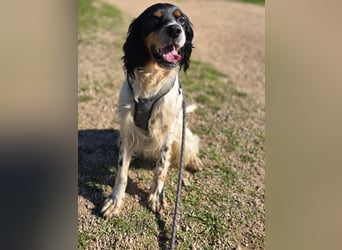 Moreno: Menschen sind ihm sehr wichtig