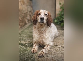 Trui zeigt sich neugierig und aufgeschlossen