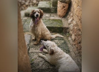 Trui zeigt sich neugierig und aufgeschlossen