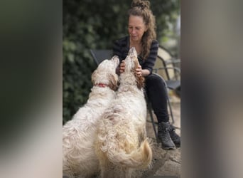 Trui zeigt sich neugierig und aufgeschlossen