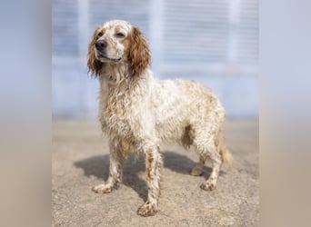 Trui zeigt sich neugierig und aufgeschlossen