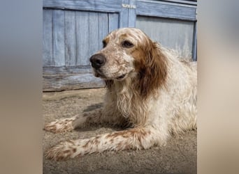 Trui zeigt sich neugierig und aufgeschlossen