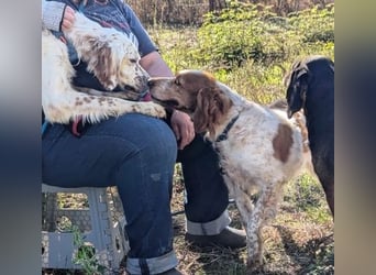 Freundlicher Warren sucht sein Lebensglück