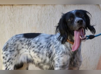 Fiona - wer heilt meine gebrochene Seele?