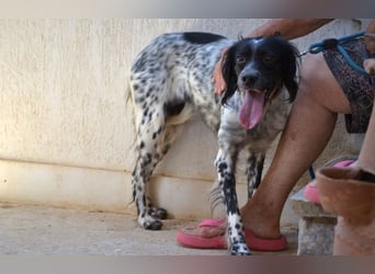 Fiona - wer heilt meine gebrochene Seele?