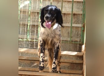 Fiona - wer heilt meine gebrochene Seele?