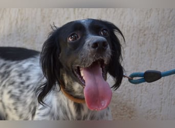 Fiona - wer heilt meine gebrochene Seele?