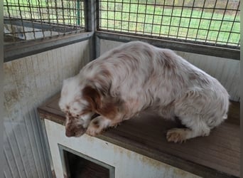 Beto - Mehr Braucht man nicht