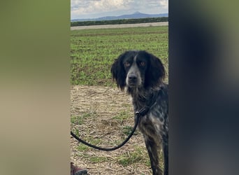 Coca - Zwischen gestern und morgen