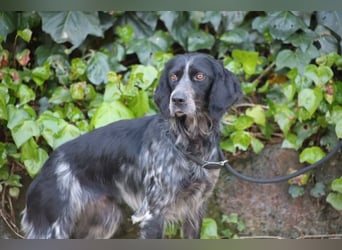 Coca - Zwischen gestern und morgen